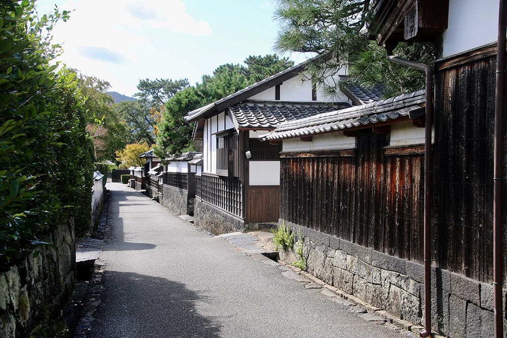 gallery_24