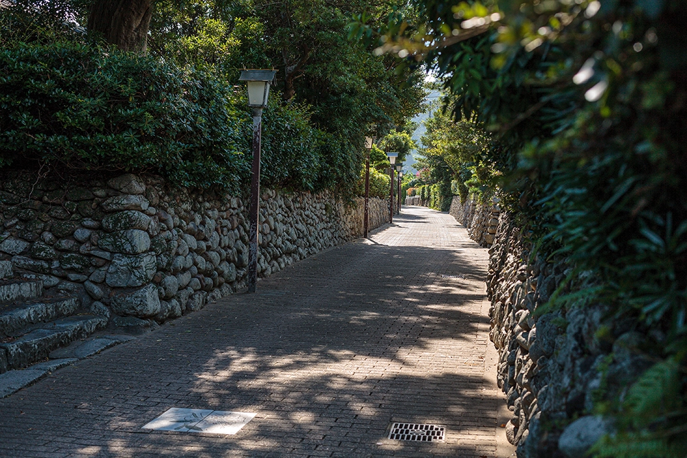 gallery_13