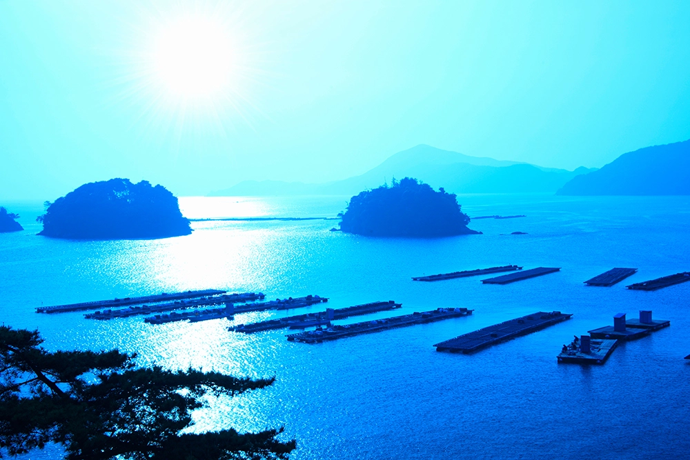 Port Name Here